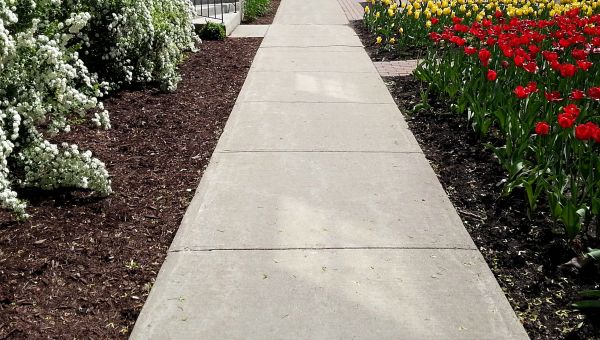 Cost of Cement Sidewalk Installation in Frederick